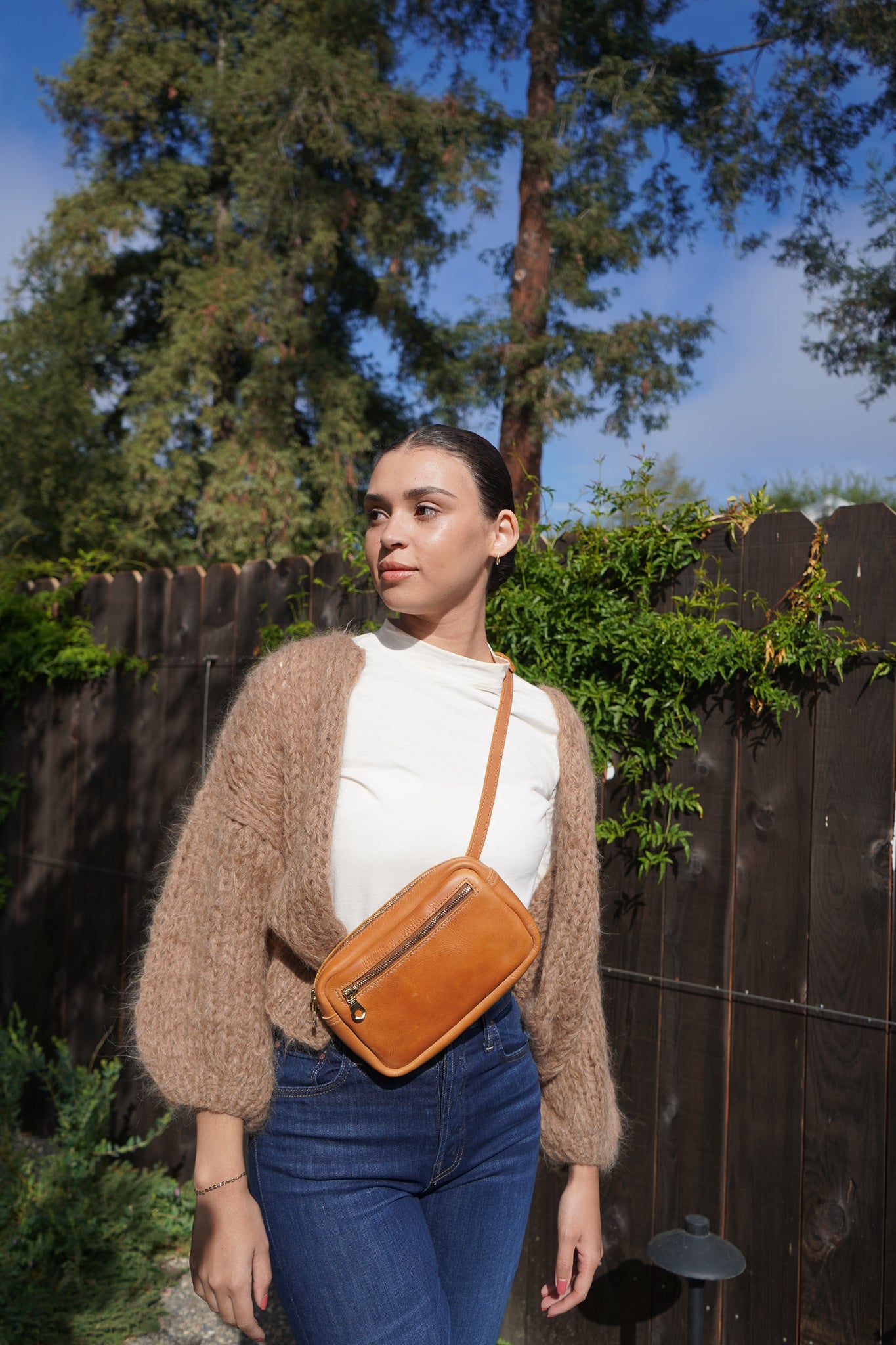 Desta Belt Bag Sling & Crossbody Bags