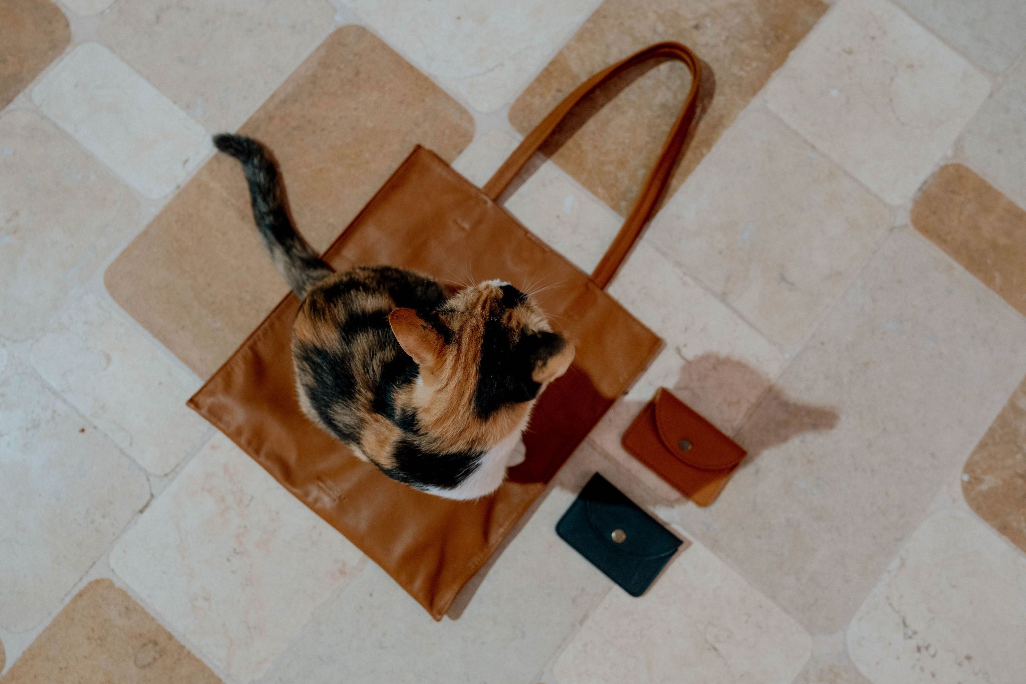 Sami Card Wallet Wallets