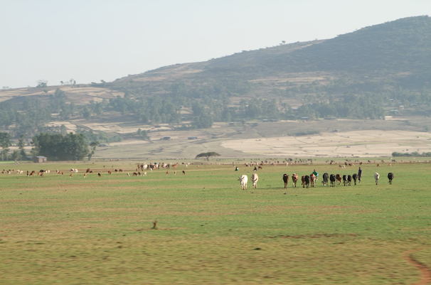 Back to Ethiopia!
