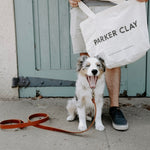 Golden Dog Leash Home   