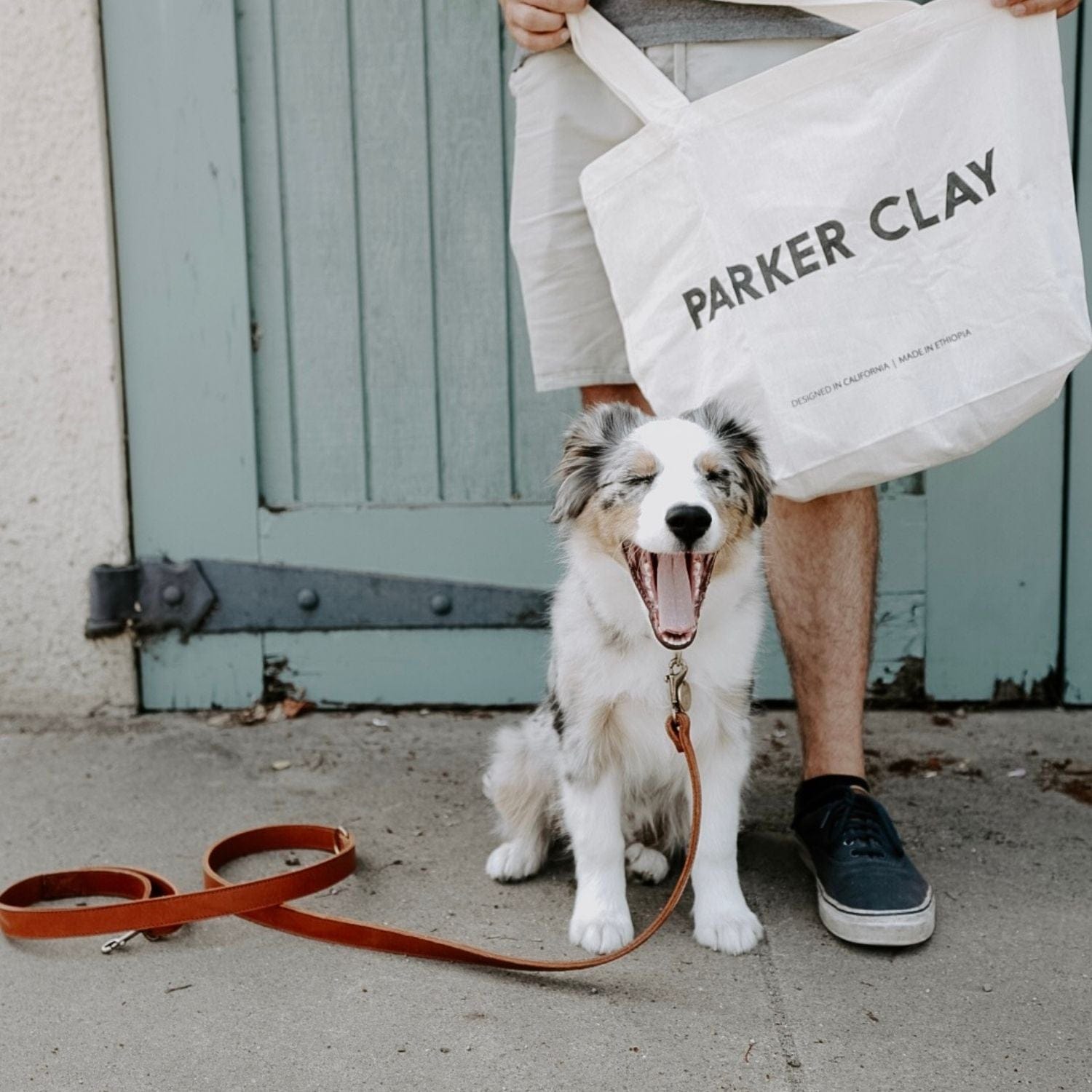 Golden Dog Leash Home   