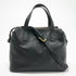 Limited Edition Napa Handbag Handbags