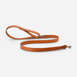 Golden Dog Leash Home