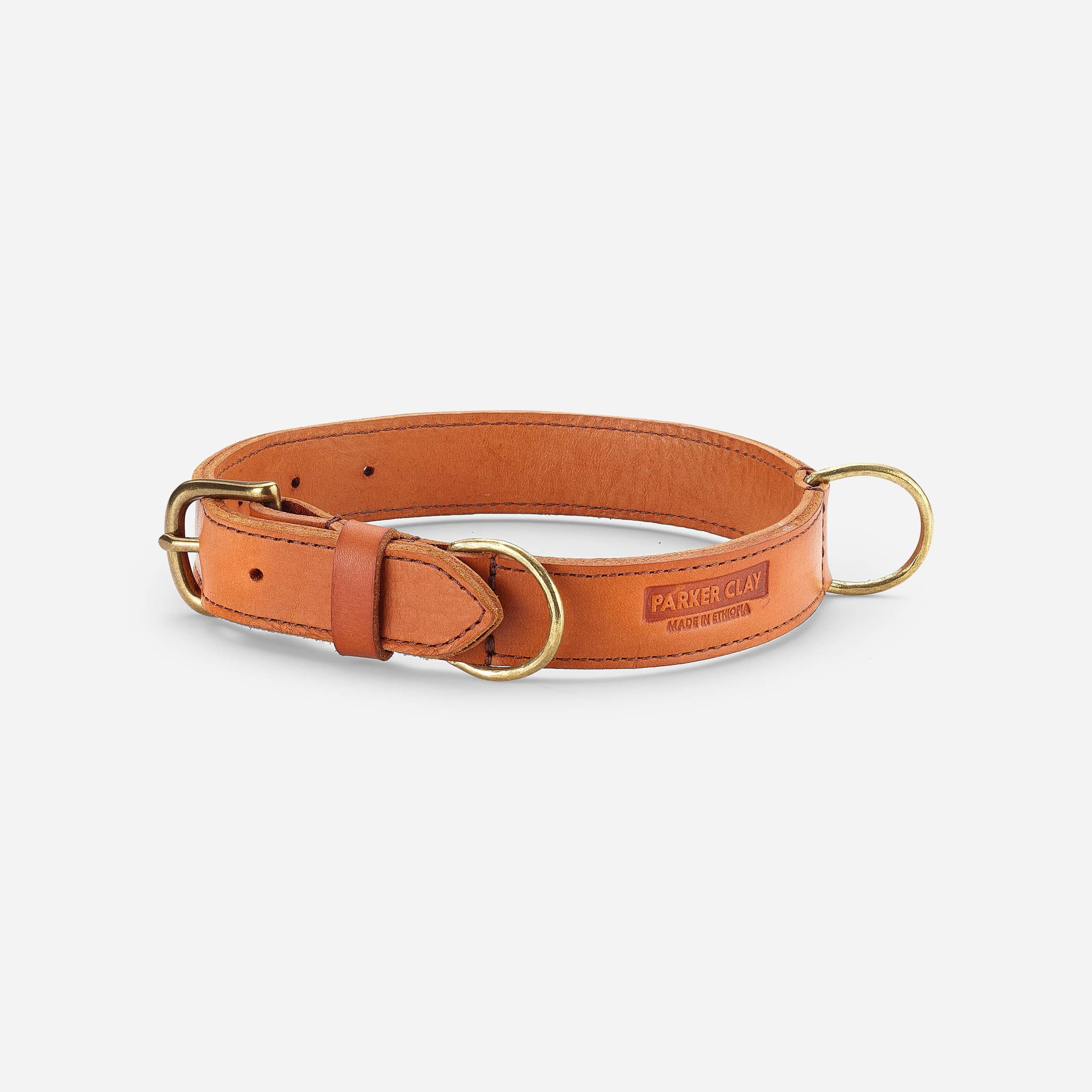 Aspen Dog Collar Home Medium  