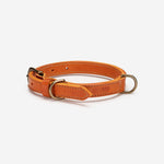 Aspen Dog Collar Home Small  